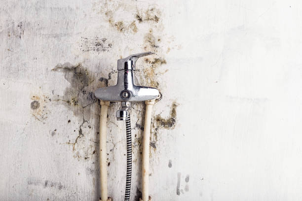 Best Mold Testing  in Fort Pierce, FL