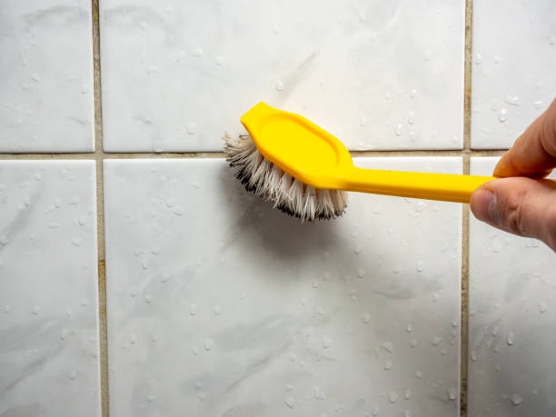 Best Certified Mold Removal  in Fort Pierce, FL