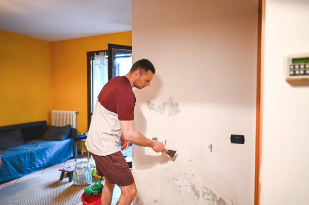 Best Fast Mold Removal  in Fort Pierce, FL